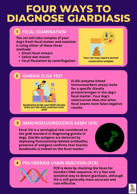 elisa test giardia dogs|giardia clinical signs in dogs.